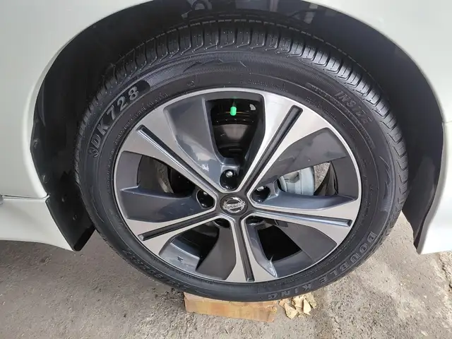Nissan Leaf 2020