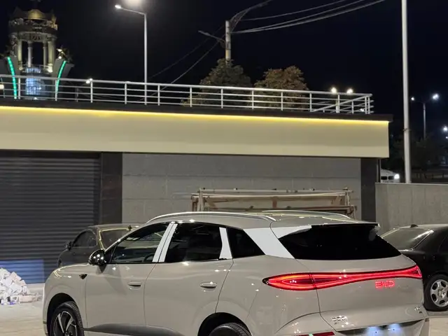 BYD Sea Lion 06 2025
