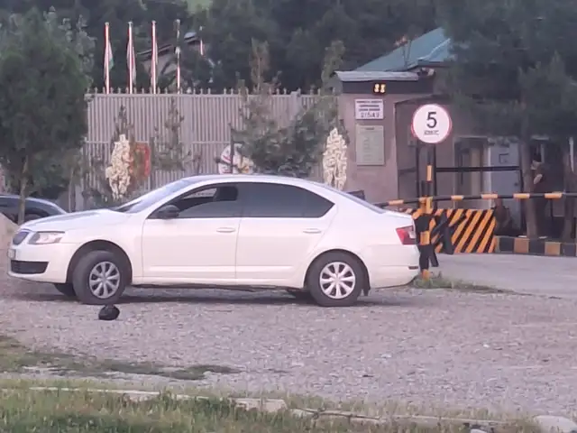 Skoda Octavia 2015