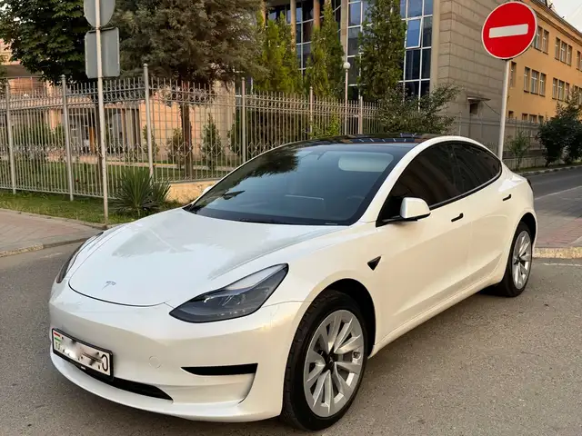 Tesla Model 3 2022