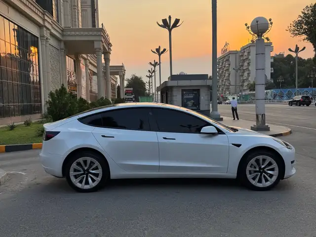 Tesla Model 3 2022