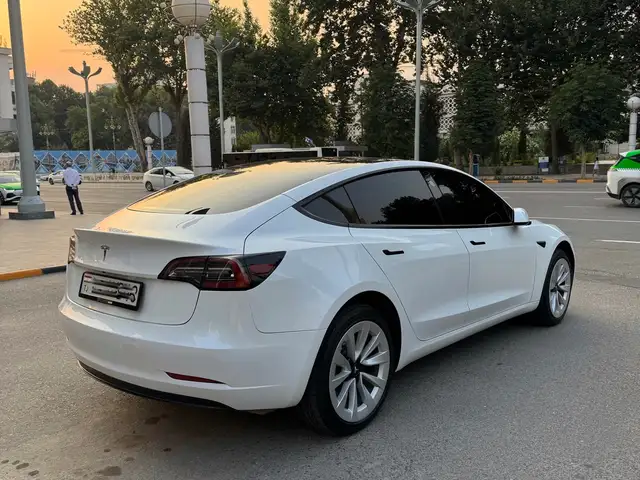 Tesla Model 3 2022