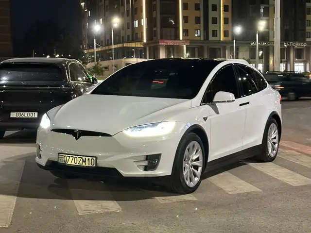 Tesla Model X 2019