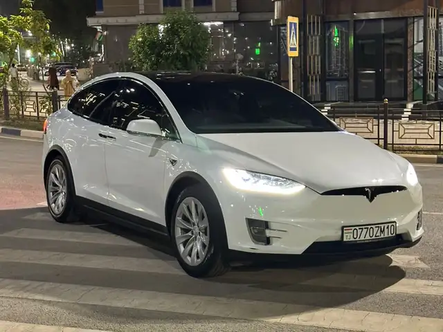 Tesla Model X 2019