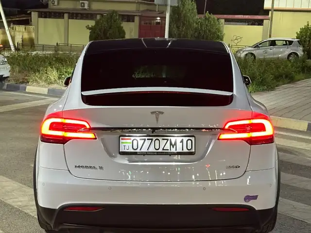 Tesla Model X 2019