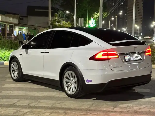Tesla Model X 2019