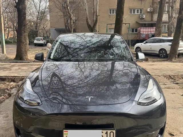 Tesla Model Y 2025