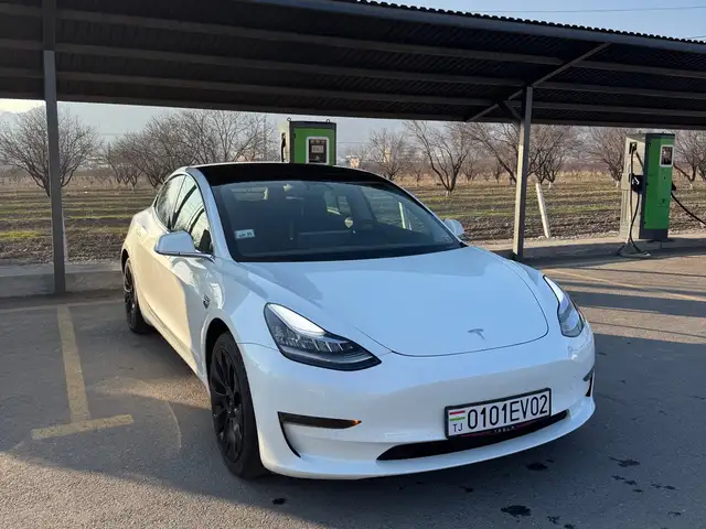 Tesla Model 3 2021