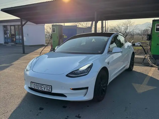 Tesla Model 3 2021