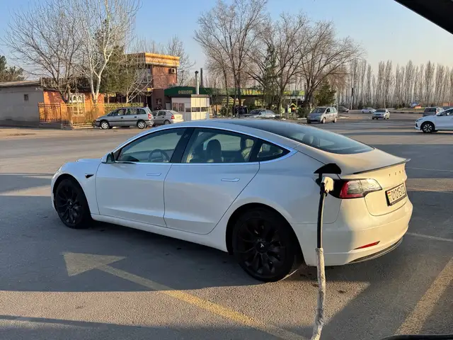 Tesla Model 3 2021