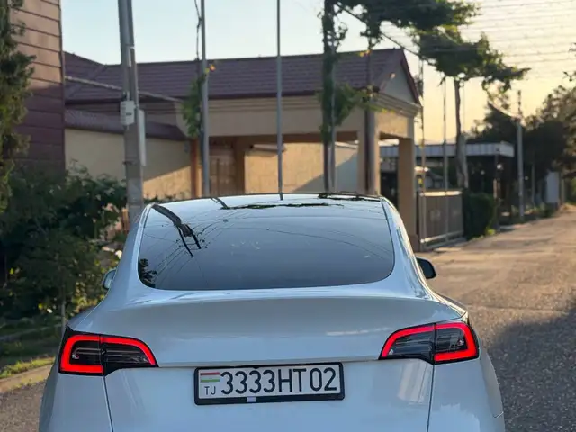 Tesla Model Y 2021