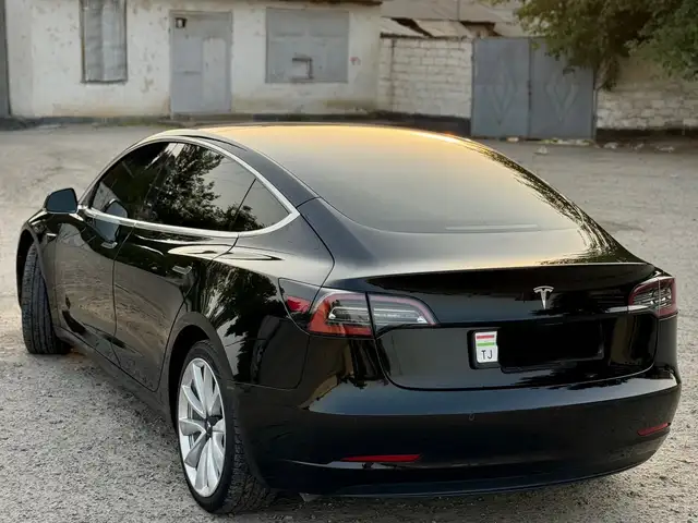 Tesla Model 3 2019