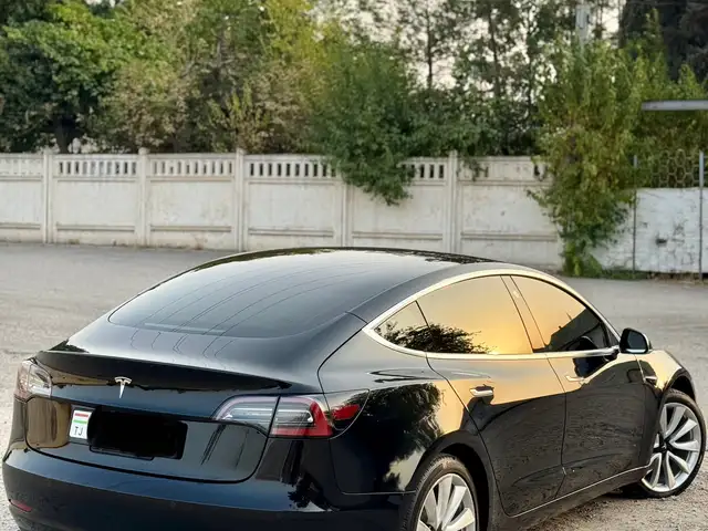Tesla Model 3 2019