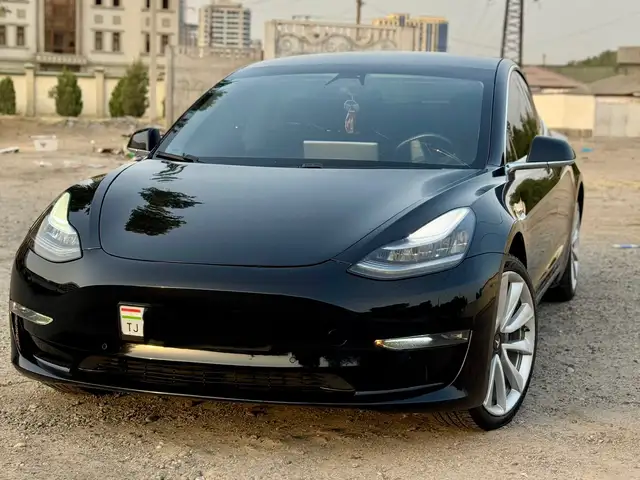 Tesla Model 3 2019