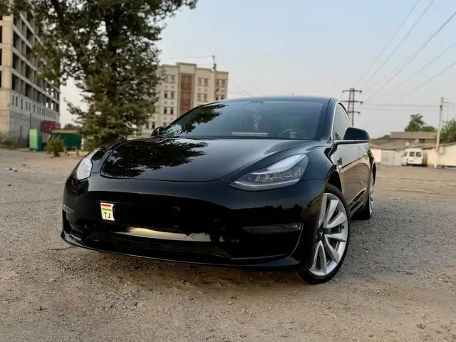 Tesla Model 3 2019