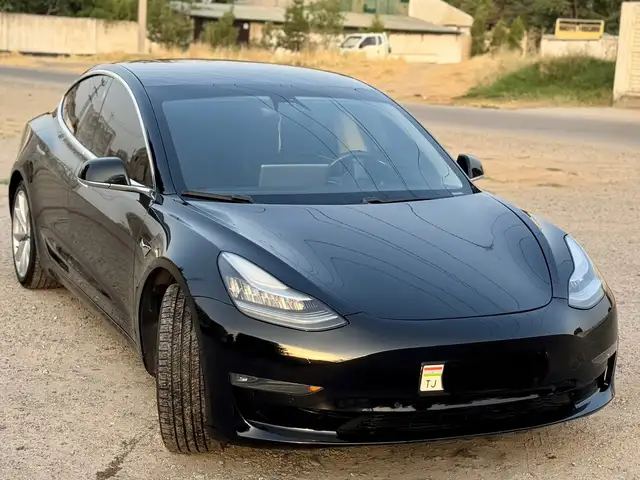 Tesla Model 3 2019