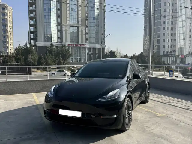Tesla Model Y 2020
