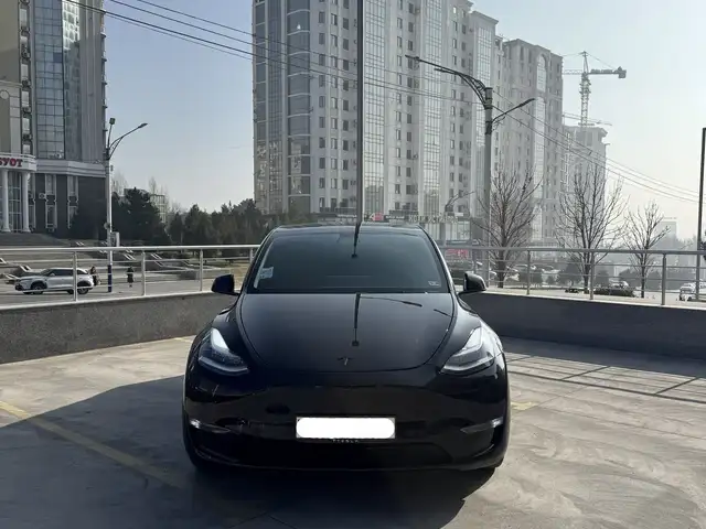 Tesla Model Y 2020