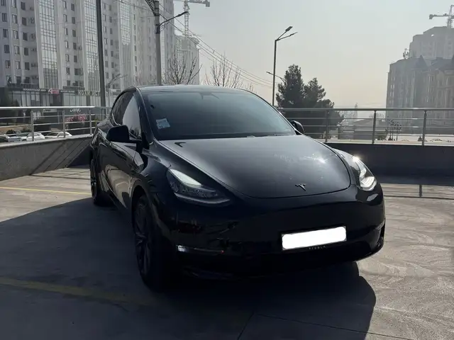 Tesla Model Y 2020