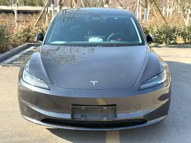 Tesla Model 3 2025