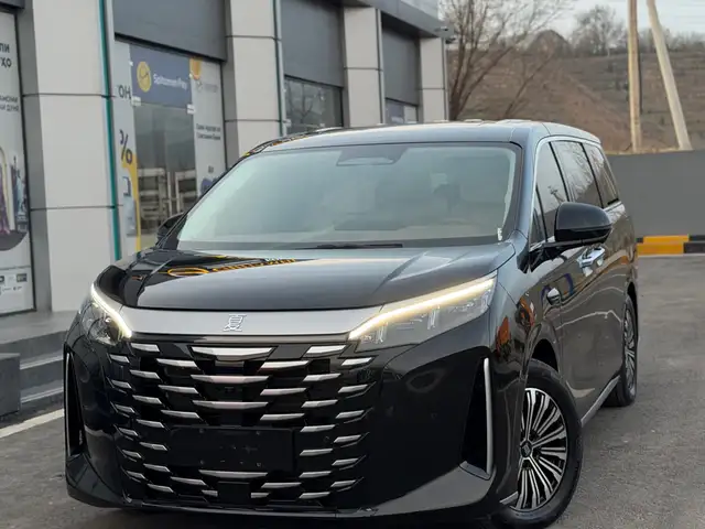 BYD Xia 2025