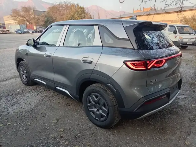 BYD Yuan Up 2025