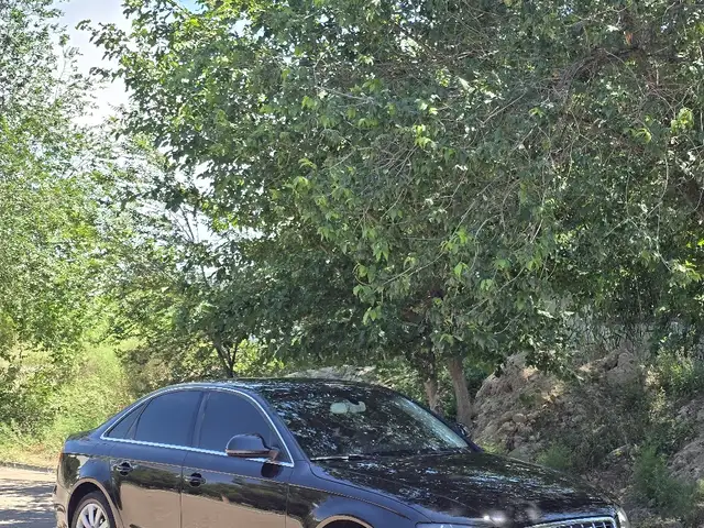 Audi A4 2009