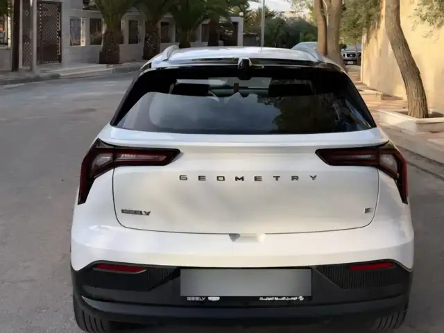 Geely Geometry E 2024