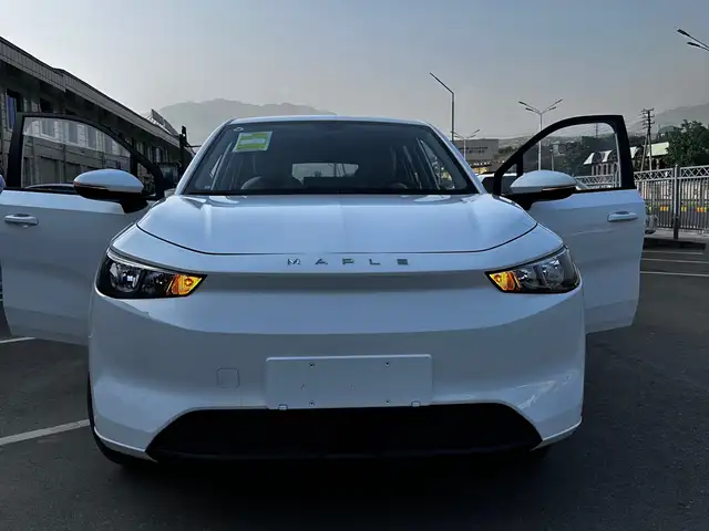 Geely Galaxy L7 2024
