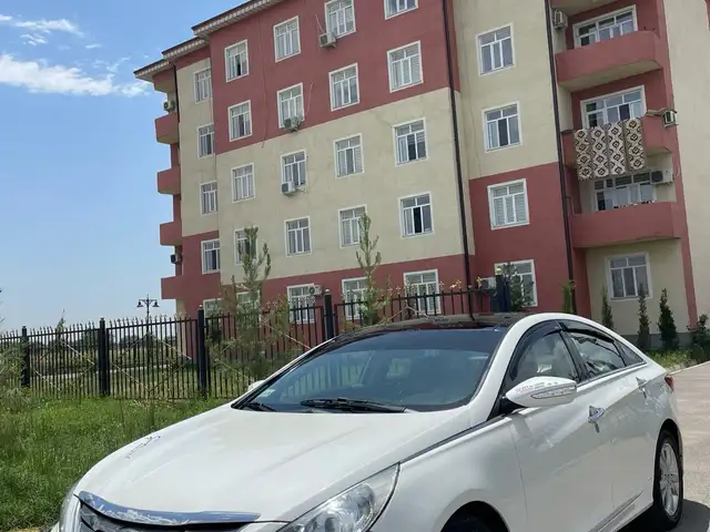 Hyundai Sonata 2010