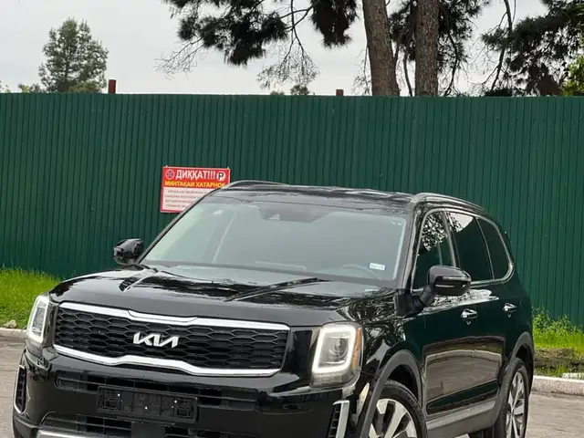 Kia Telluride 2019