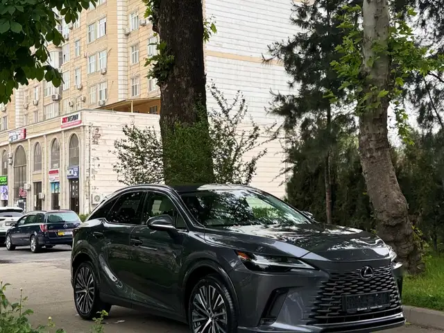 Lexus RX 2025