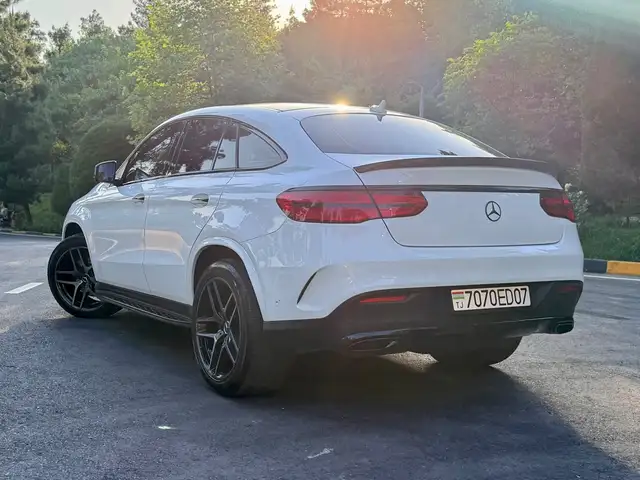 Mercedes -Benz GLE class 2017