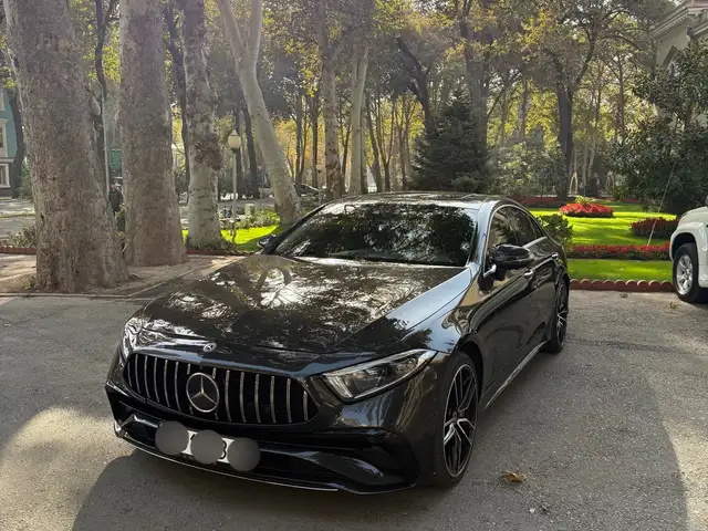 Mercedes -Benz CLS class 2019
