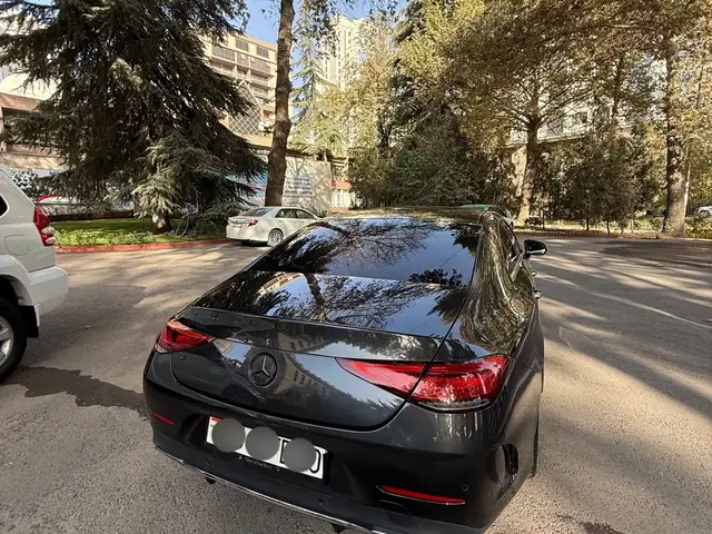 Mercedes -Benz CLS class 2019