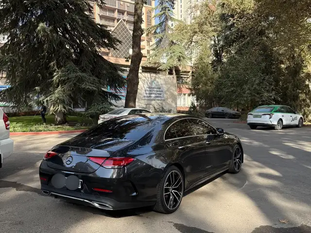 Mercedes -Benz CLS class 2019